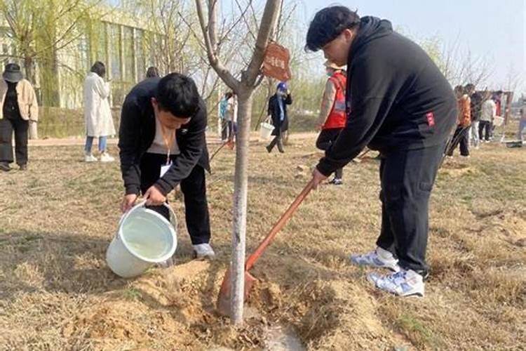 梦到铲地除草好不好