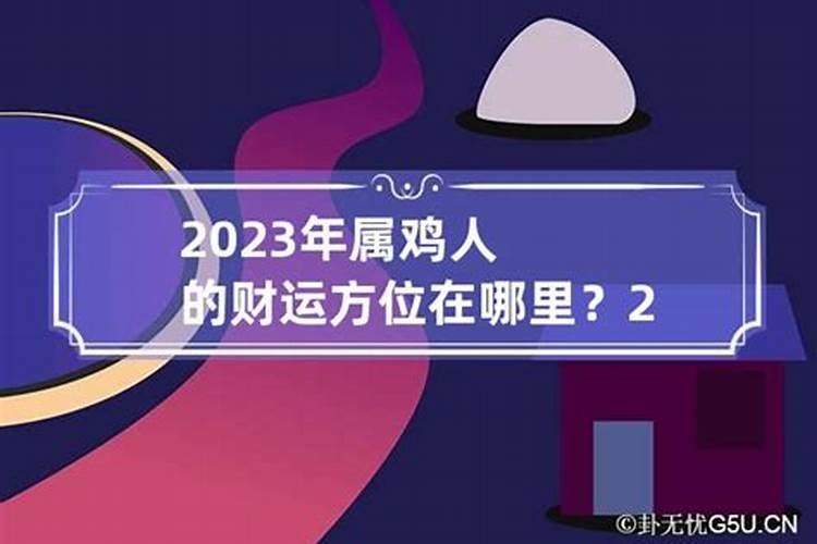 鸡生肖在2023年运势如何