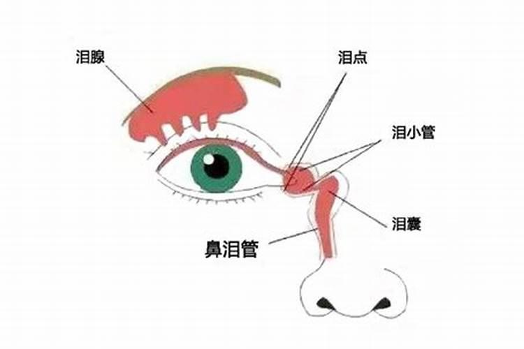 梦到从未见面的人为什么