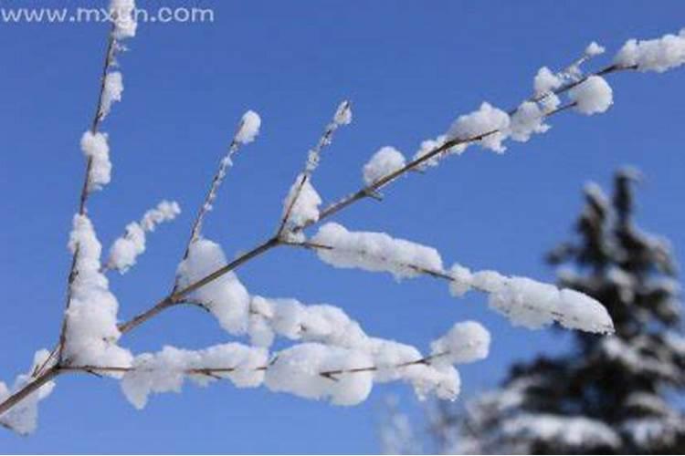 梦到下雪预示着什么意思