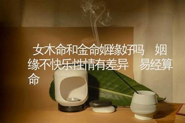 木命和金命合不合适