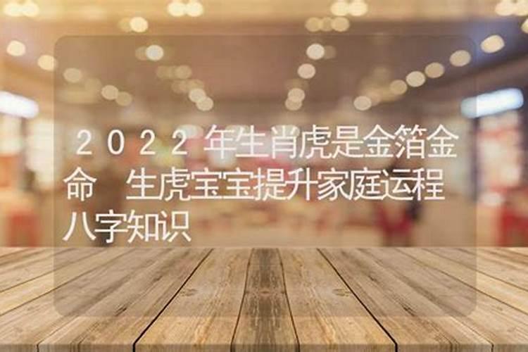 正月十五出生虎宝宝2022年命运