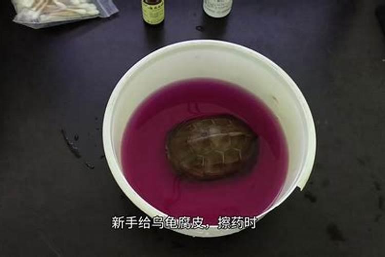 梦见自己拿刀砍乌龟