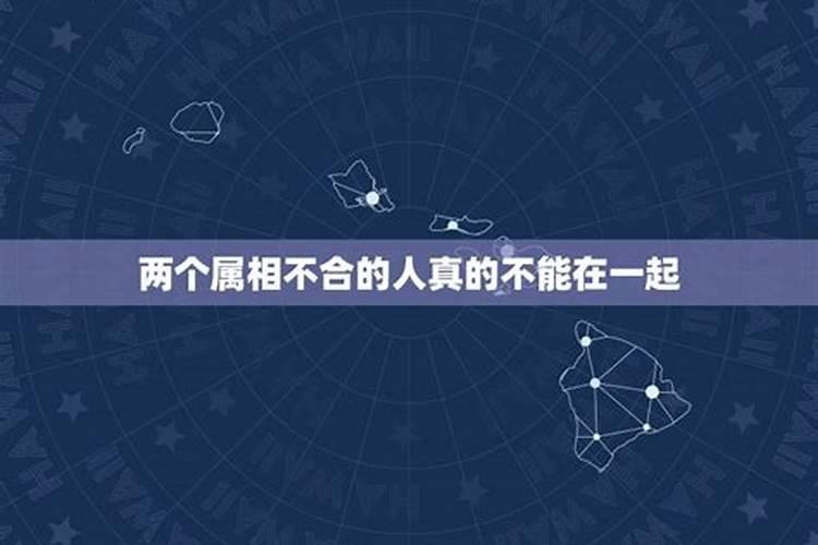 1988年冬至是几日