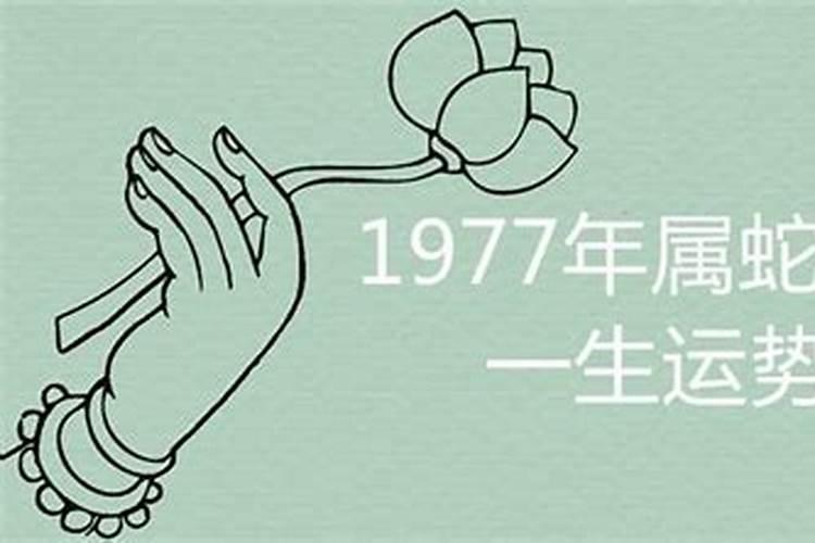 1977女蛇一生运势