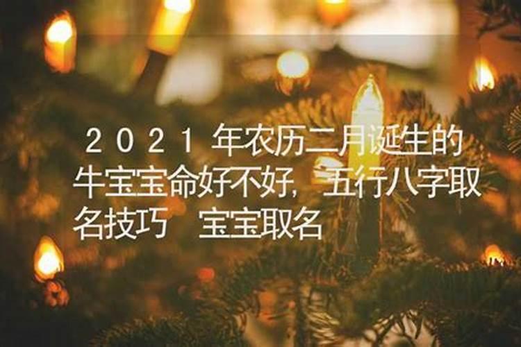 2021年农历二月二十六出生的宝宝