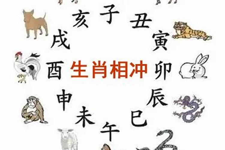 2020年12月29日生肖相冲