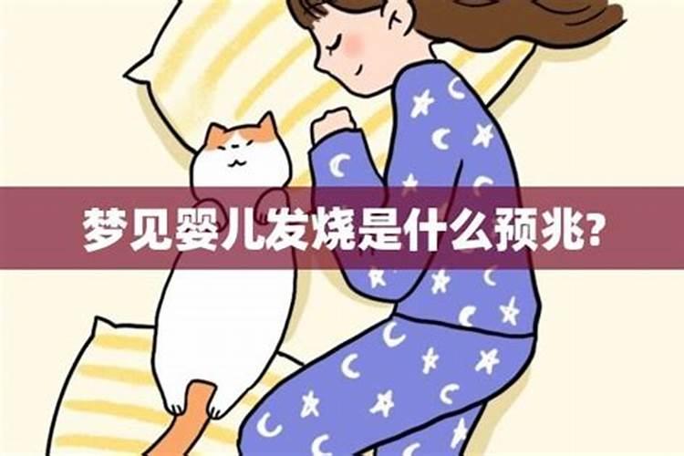 梦见看家