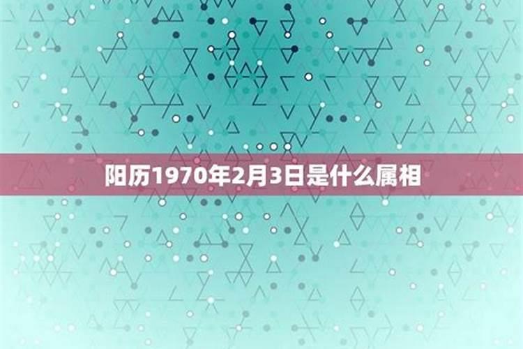 属兔2023年运势及运程颜色