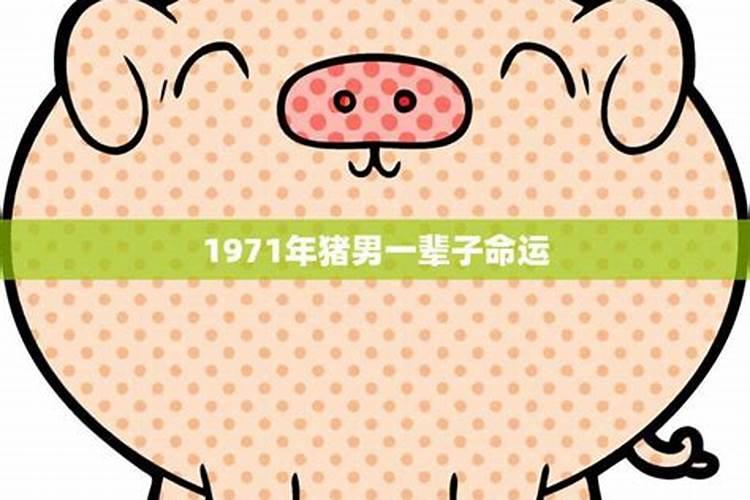 1971年猪男一辈子命运