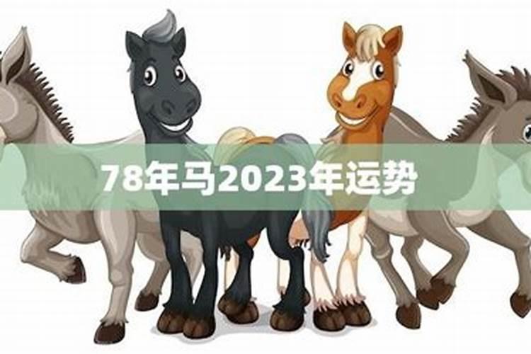 78年马2023年运势及运程男