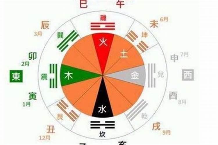 才的五行是什么