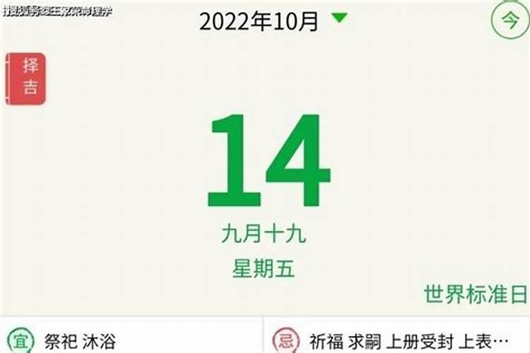 11月14日生肖运势2022