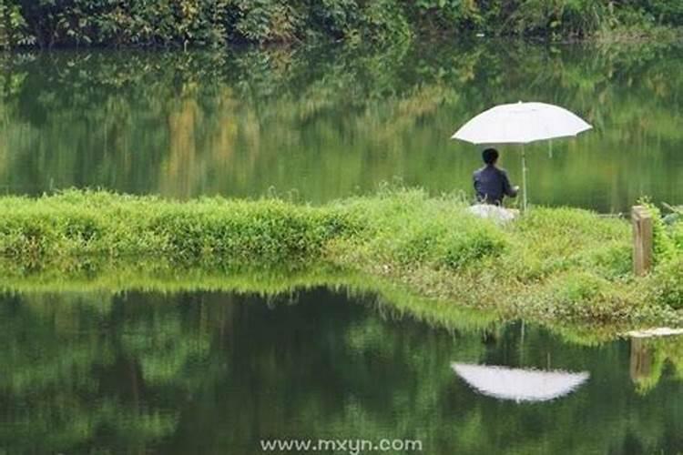 梦见掉河里,河里有鱼