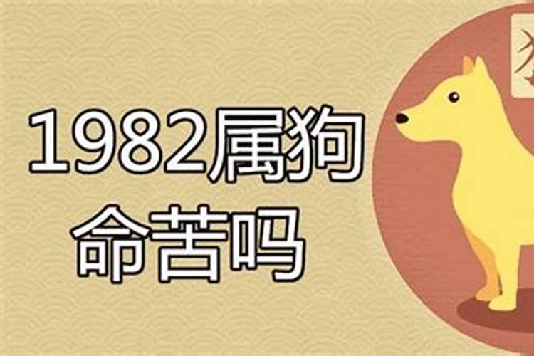 82年属狗人命苦不苦