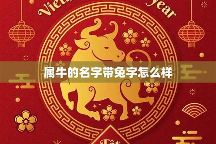 属牛的名字里带火