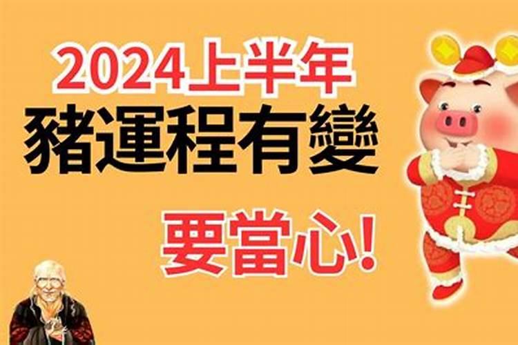 属马人在2023年的运势运程详解