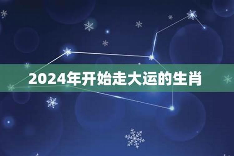 2024年最旺的四个属相