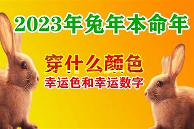 2023年兔年本命年穿什么颜色衣服合适呢