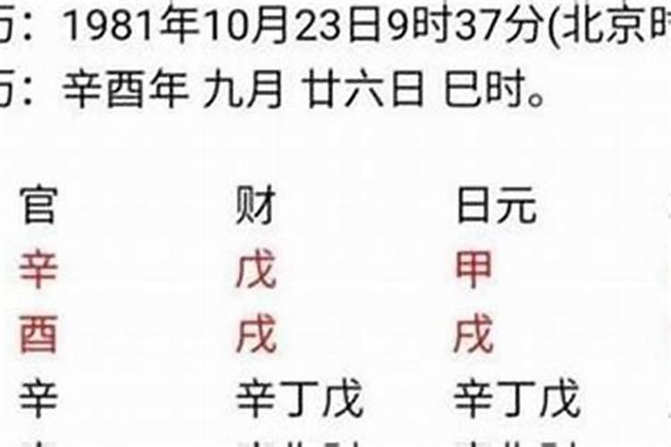 戊寅身弱2023年运势如何