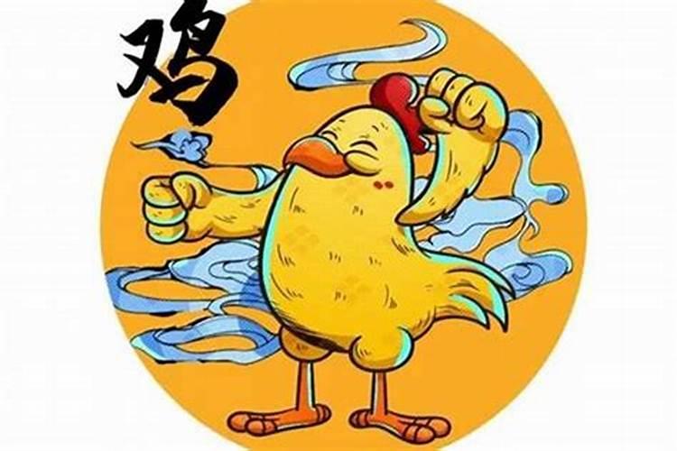 鸡和鼠合不合