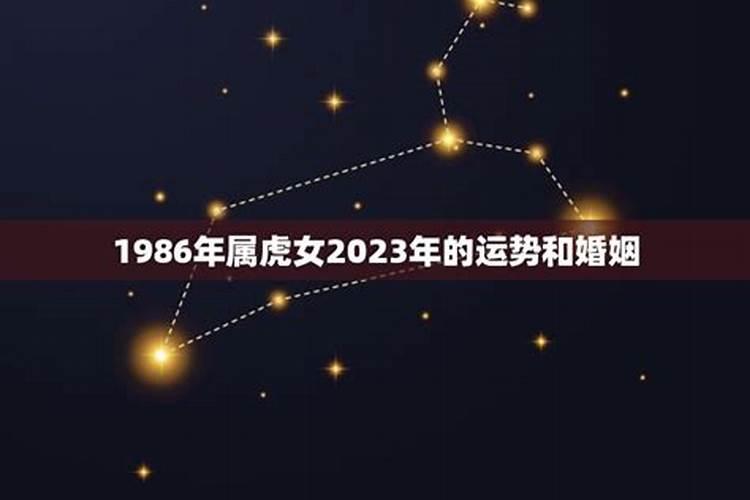 属虎1986年女性2023年婚姻