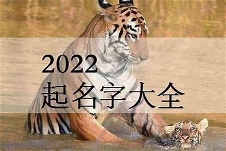 2023属虎取名男龚姓