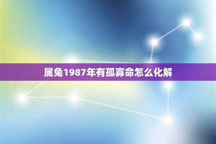 1982年4月狗运势如何