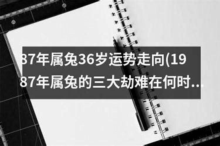 66年属兔人属于什么命