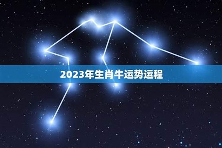 2023下半年运势属牛