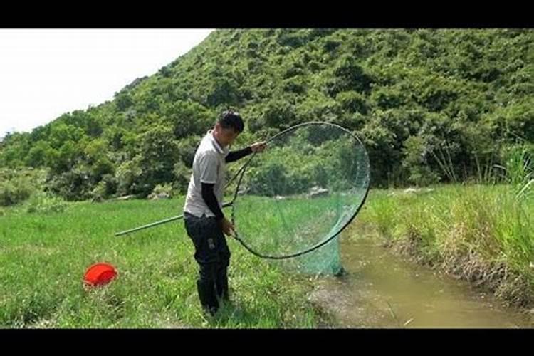 梦到大雨过后到处都是水