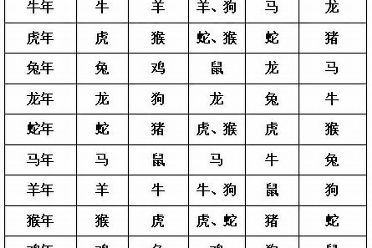 什么八字可以做官