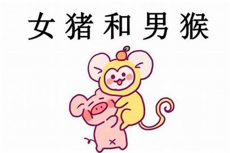 生肖属猪一生有几段婚姻关系