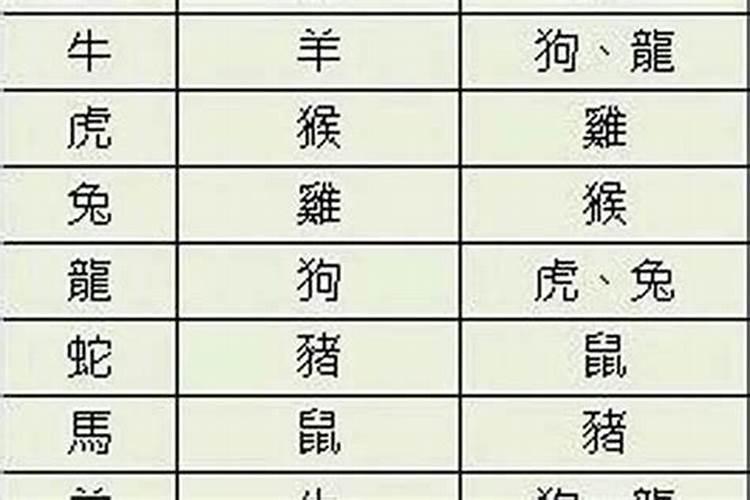 和牛不合适的属相