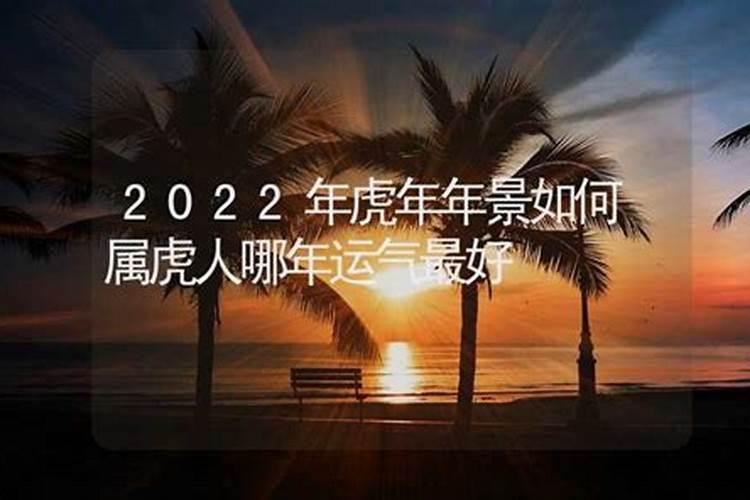 2022年虎年对属鸡的好不好