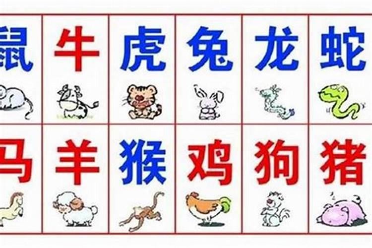 怎样看八字婚姻合不合