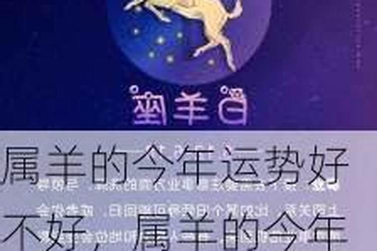 属羊的今年财运好不好