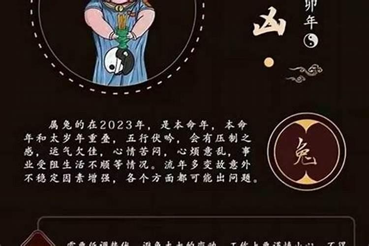 87年腊月十三属兔2023年运势及运程