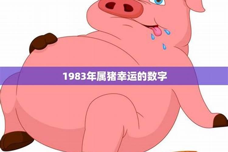 1983年属猪今日财运