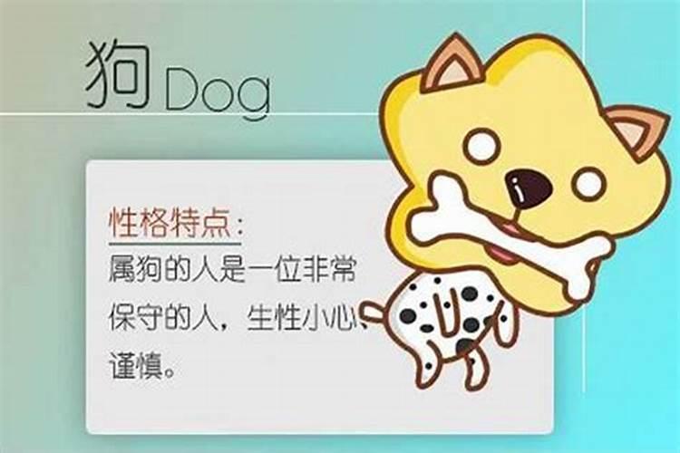 属狗属猴的属相合不合