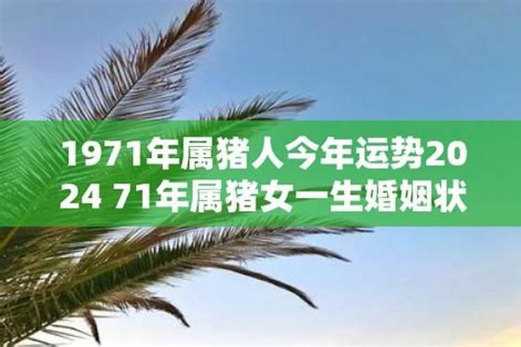 98年6月虎今年运势怎么样