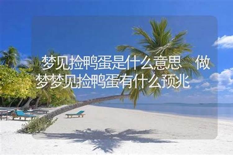 梦到捡螺是什么意思