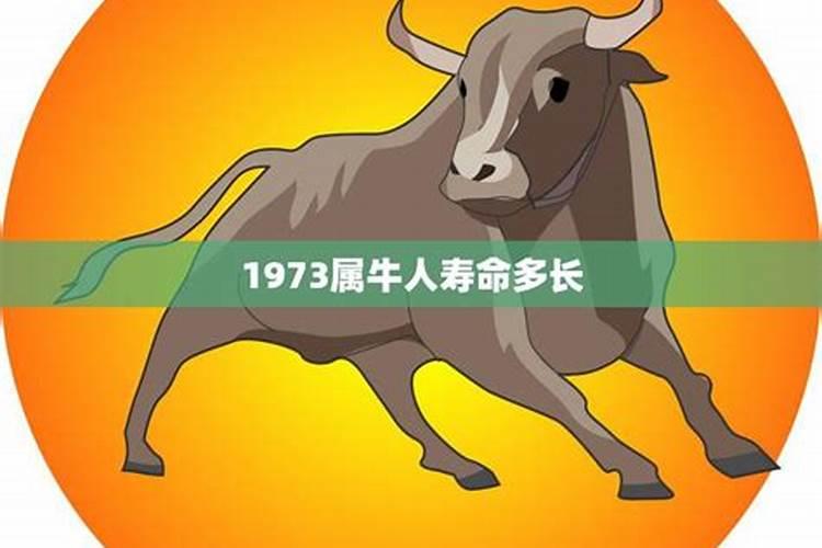 属牛人1973年一生命运