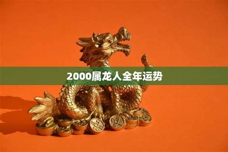 2000属龙人适宜发展城市吗