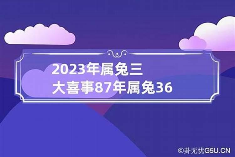 属兔本命年有什么讲究和禁忌