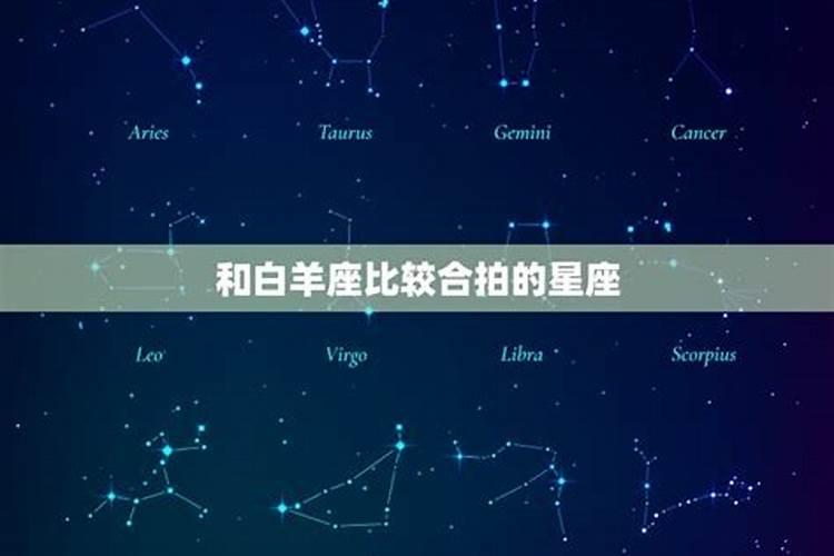 白羊和什么星座比较合适