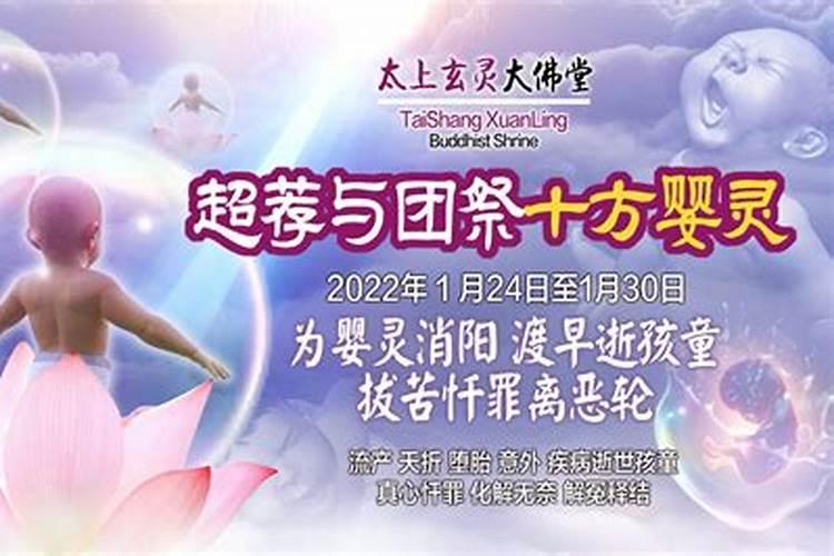 2024属马2月运势如何