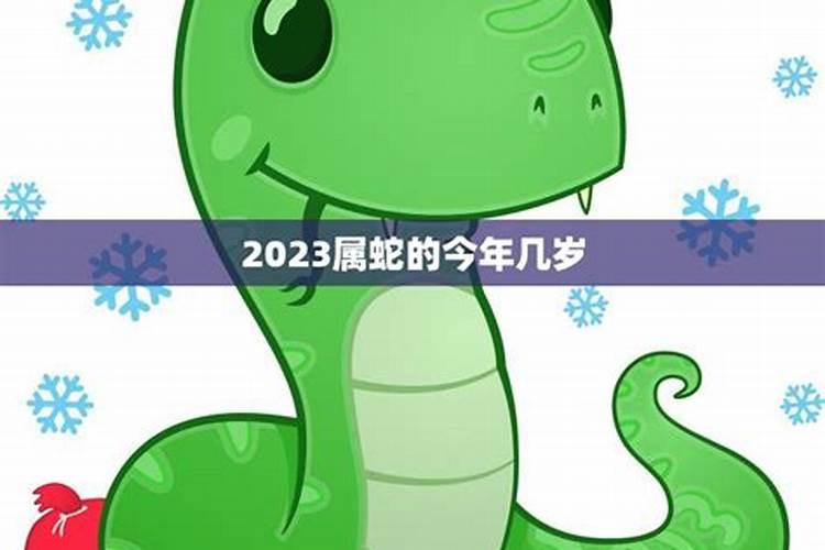 属蛇女和属虎男2023年运程