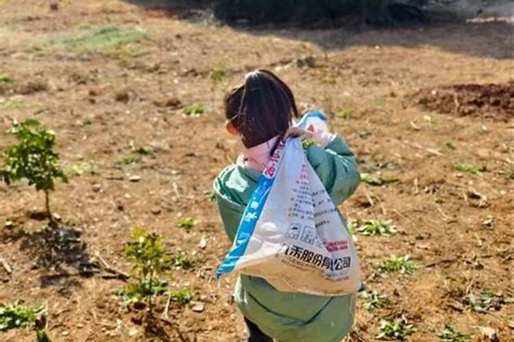 梦见带孩子去墓地祭拜已故老公好吗