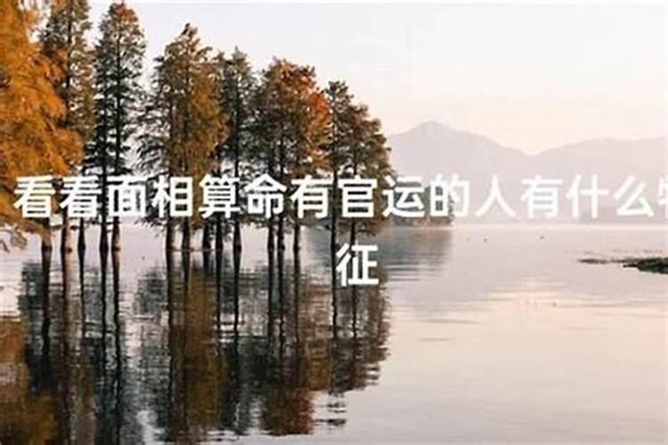 偏财走正官运什么意思